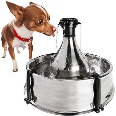 Drinkwell 360 Stainless Steel Multi-Pet Dog and Cat Water Fountain