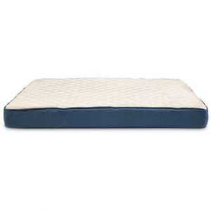 Doctors Foster + Smith Orthopedic Lounger Dog Bed in Navy