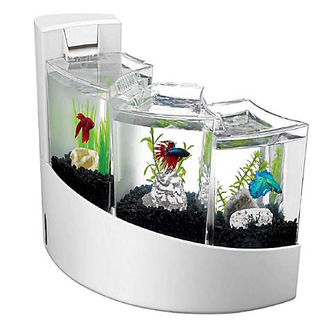 aqueon aquarium kit