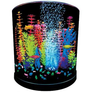 GloFish 3 Gallon Half Moon Aquarium Kit