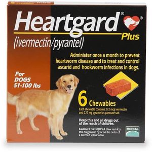 Heartgard Plus Chewables for Dogs 51 to 100 lbs., 6 Pack