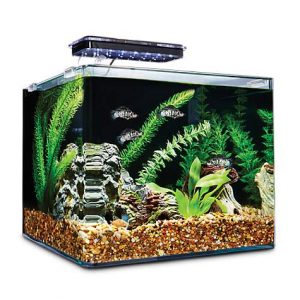 Imagitarium Frameless Freshwater Aquarium Kit, 6.8 GAL
