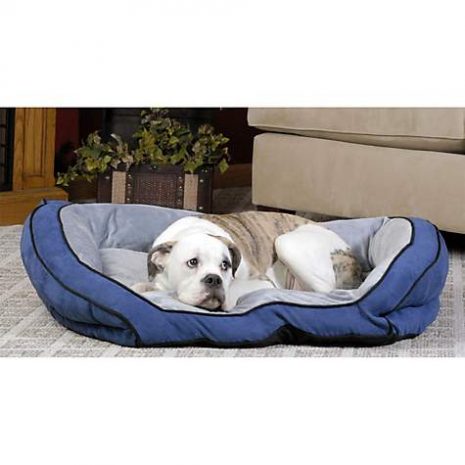 K&H Bolster Couch Dog Bed in Blue & Gray, 28 L x 40 W