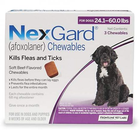 NexGard Chewables - Purple for Dogs 24.1 to 60 lbs., 3 Pack