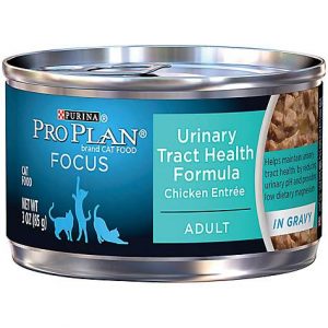 Pro Plan Focus Urinary Tract Health Canned Cat Food