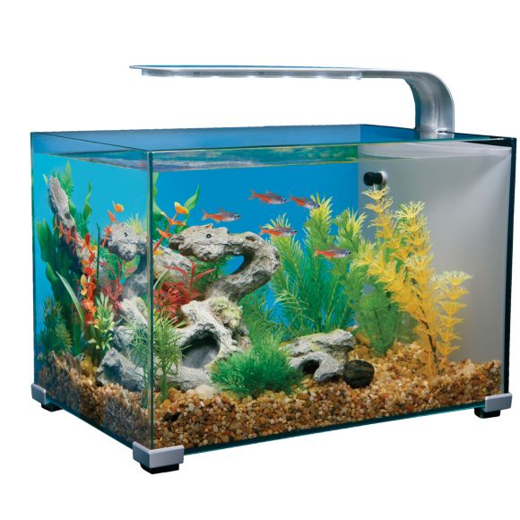 Top Fin® 5 Gallon Glass Aquarium Select Pet Supply